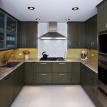 Landesman KITCHEN view 1